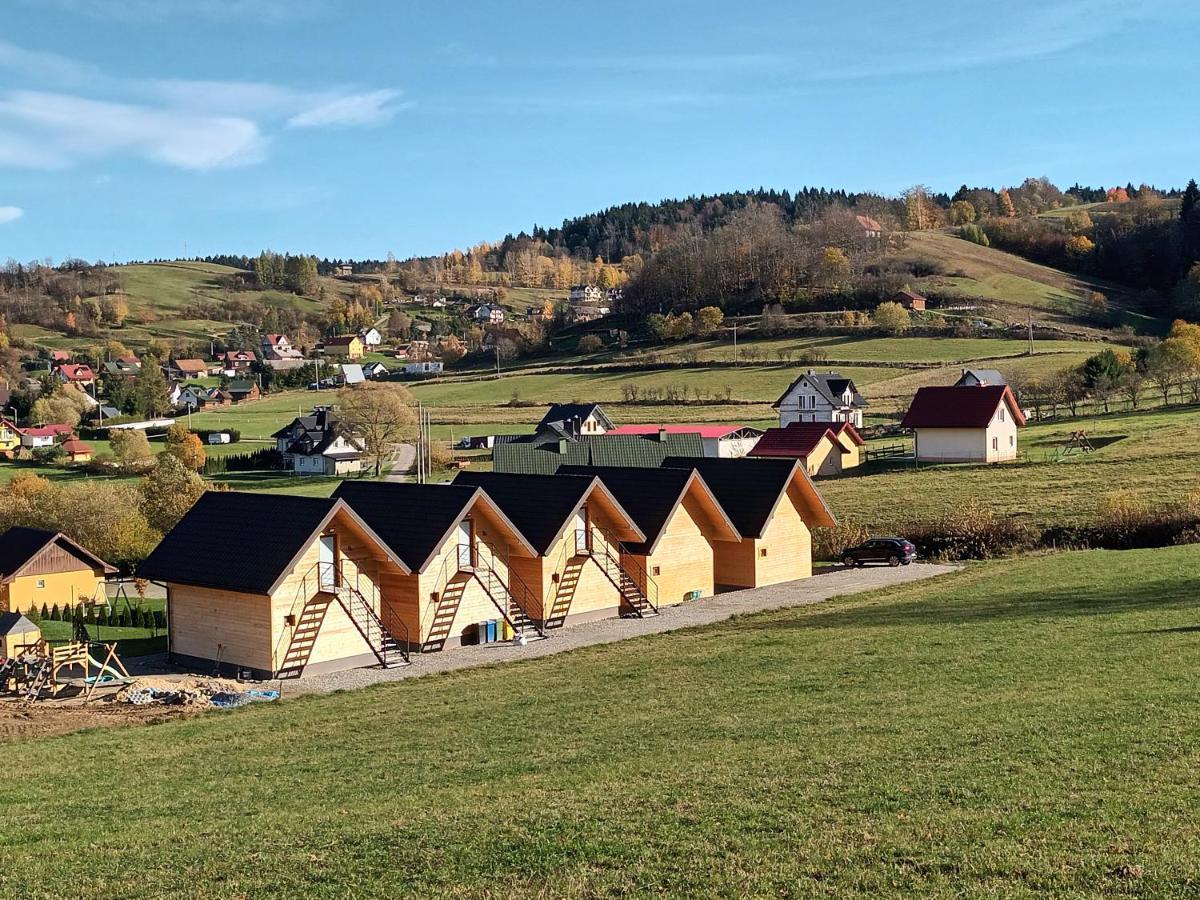 Motylowe Wzgorze Apartamenty Zawóz Exteriör bild